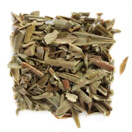 HOJA DE OLIVO